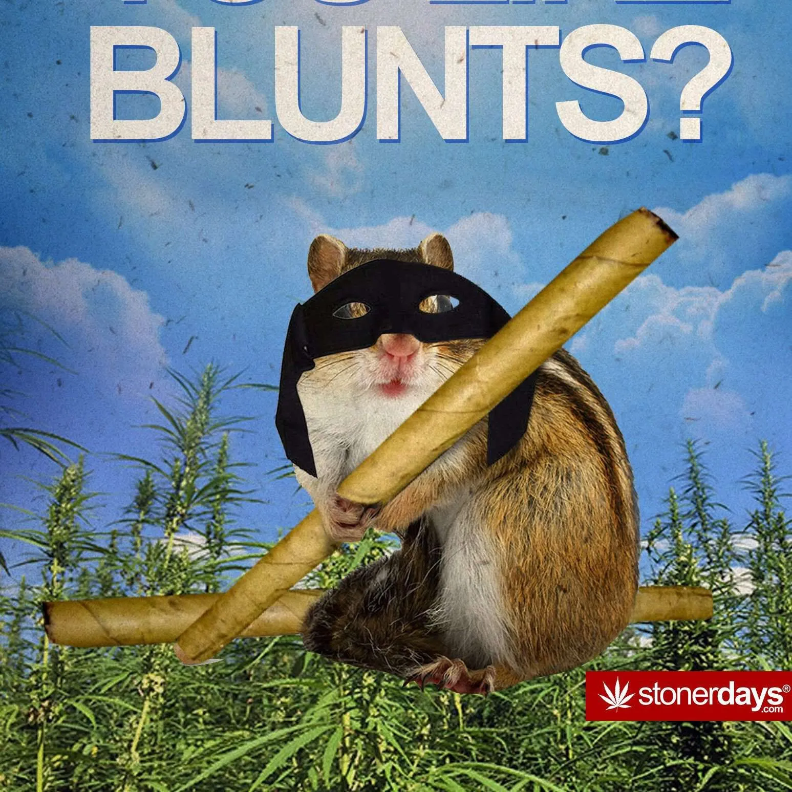 I HEARD YOU LIKE BLUNTS HEMP CARD